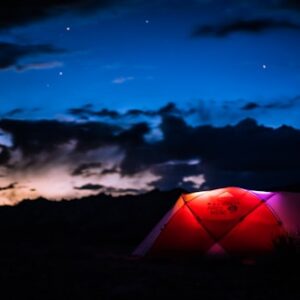 Insulated Water Bottle